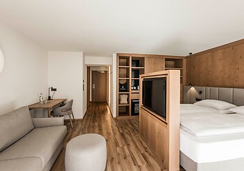 Deluxe Mini Suite