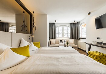 Deluxe Mini Suite