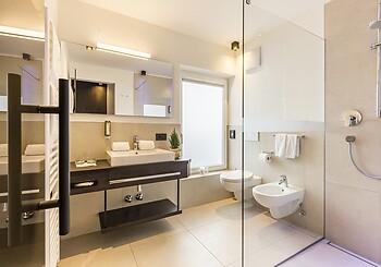 Deluxe Mini Suite